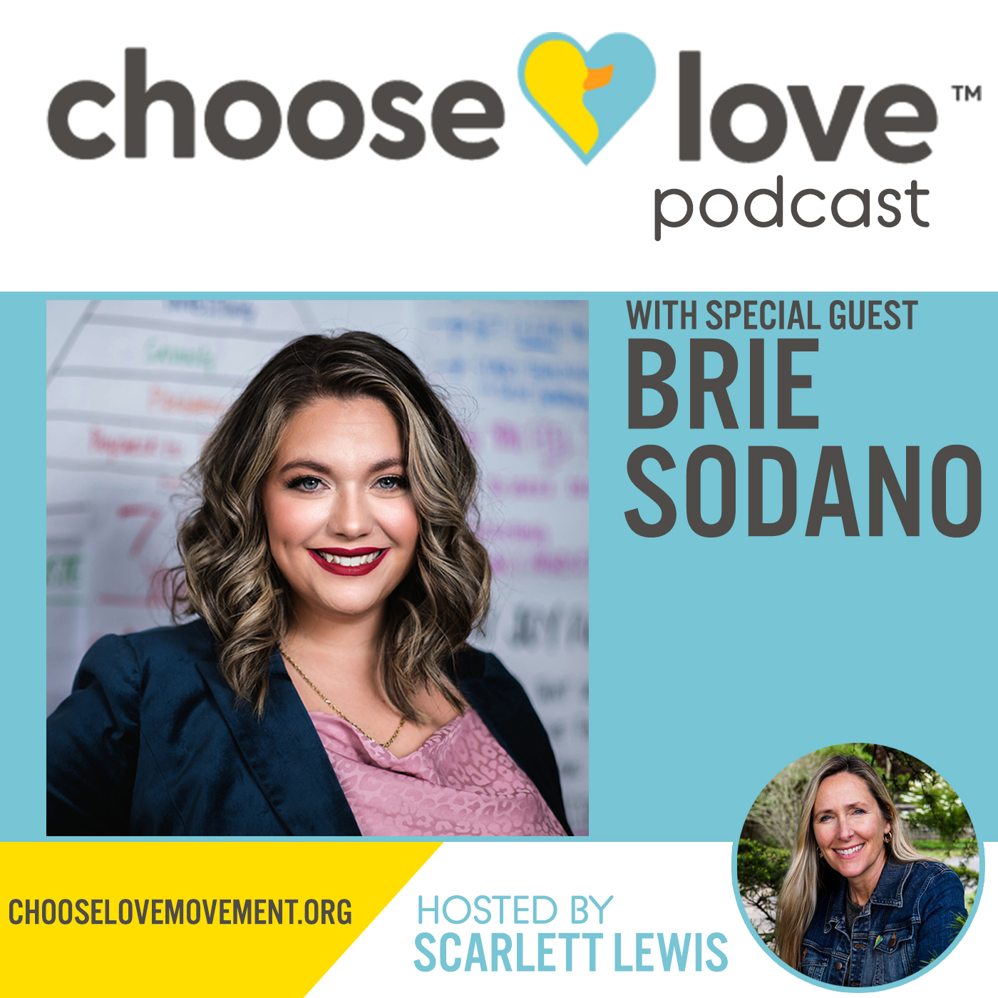 ChooSELove Podcast EPISODE 42 Brie Sodano Sheep To Shark