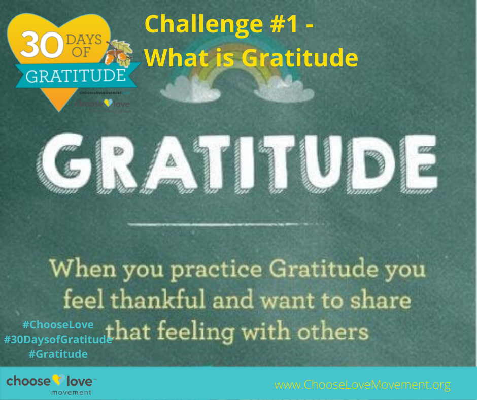 30 Day #1 Gratitude