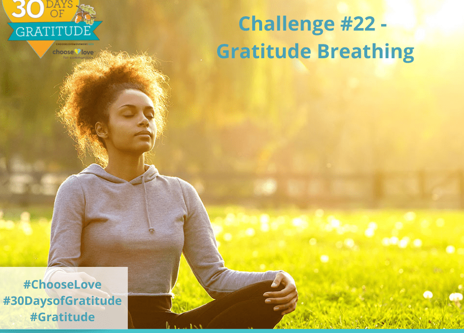 30 Days of Gratitude Challenge #22 – Gratitude Breath