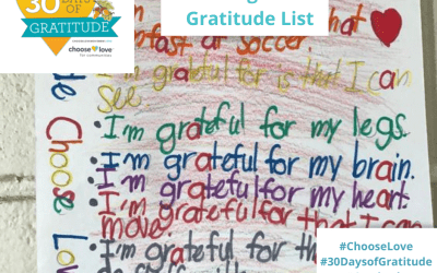 30 Days of Gratitude Challenge #17 – Gratitude List