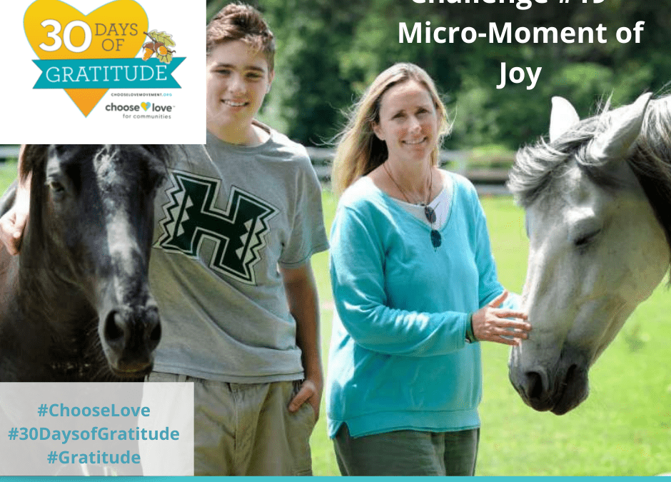 30 Days of Gratitude Challenge #19 – Micro-Moments of Joy