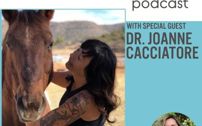Podcasts, Episode 52: Dr. Joanne Cacciatore on grief, loss, and the importance of compassion